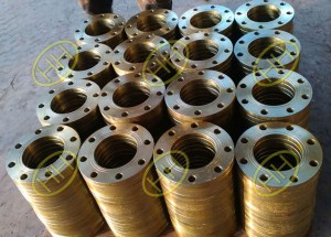 JIS B2220 Standard Flanges Products in Haihao Group